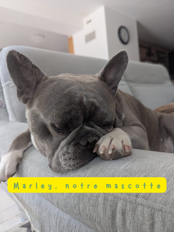 Frais Pour Vous - Photo 2