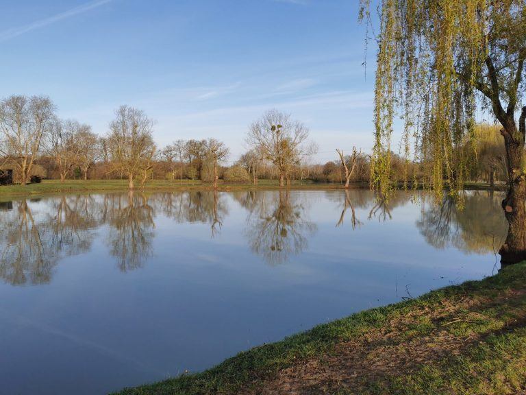 Ferme  des Morinières - Photo 3