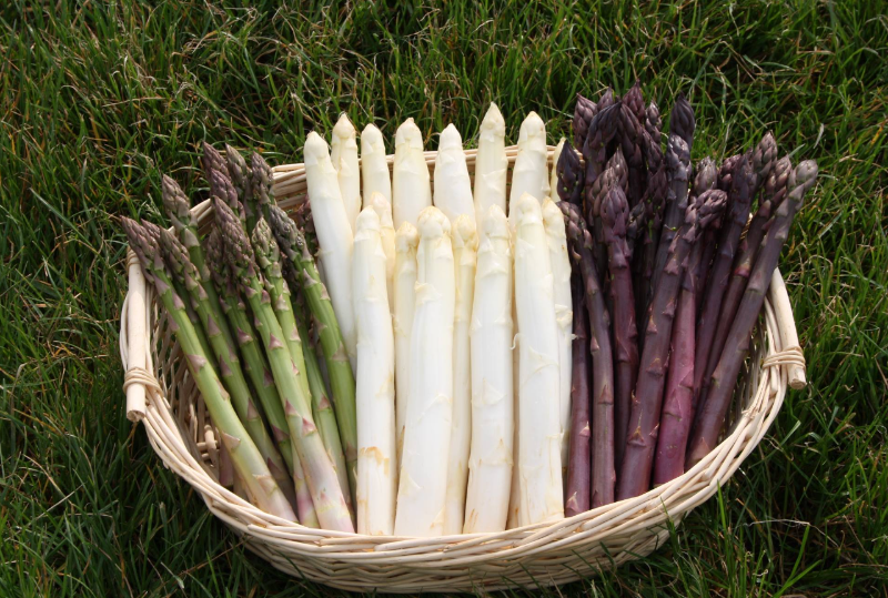 Productrice Stéphanie Cailleteau - Photo 2