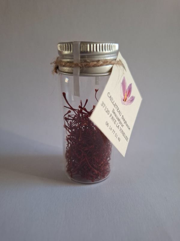 Productrice Stéphanie Cailleteau - Photo 5